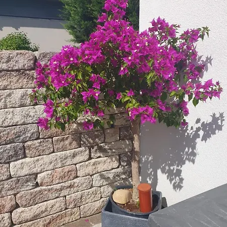 Ferienhaus Eos In Der 