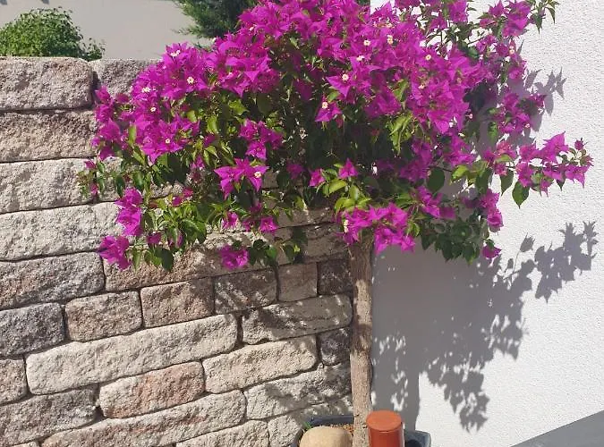 Ferienhaus Eos In Der 